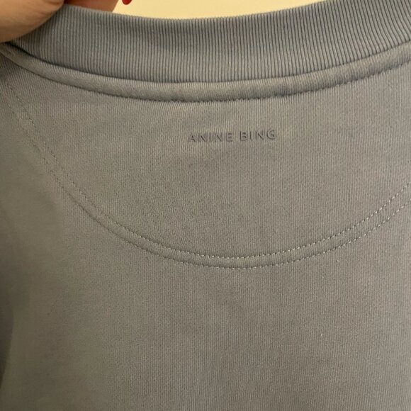 Anine Bing Tyler Sweatshirt in Capri Blue - Picture 5 of 5
